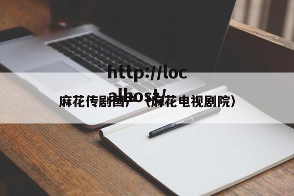 麻花传剧国产(麻花电视剧院)